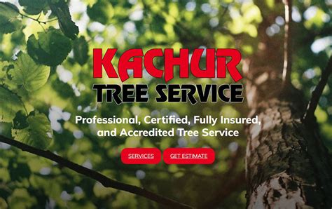 kachur tree service niles mi